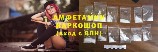 СК Алексин