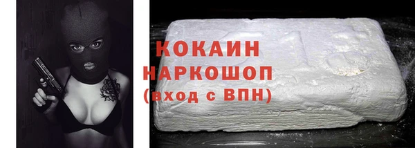 СК Алексин