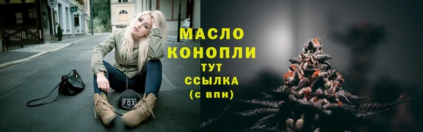 СК Алексин