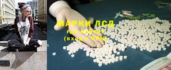 СК Алексин