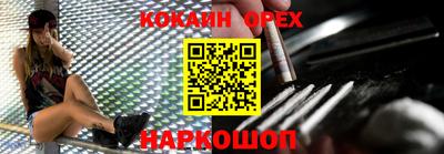 прущие грибы Новозыбков