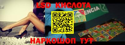 прущие грибы Новозыбков