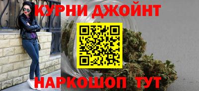 прущие грибы Новозыбков