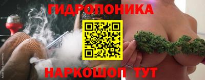 герыч Новодвинск