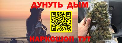 прущие грибы Новозыбков