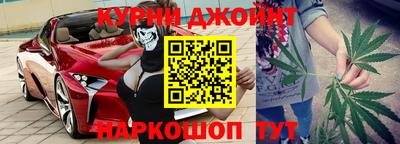 прущие грибы Новозыбков