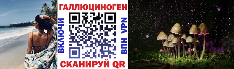 гидра рабочий сайт  наркота  Сунжа  Галлюциногенные грибы Psilocybine cubensis 