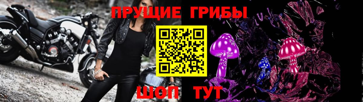 Псилоцибиновые грибы Magic Shrooms  даркнет сайт  Сунжа  Псилоцибиновые грибы прущие грибы  Вход с VPN 